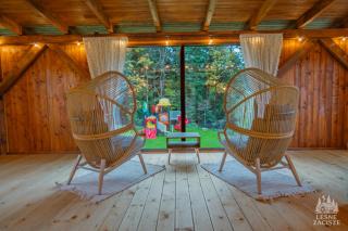 Leśne Zacisze - dom na wsi z grotą solną, sauną oraz balią ogrodową - 1