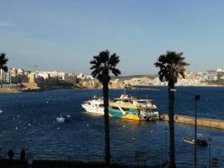 FEMALE SOLO TRAVERELS ONLY & Spacious Vintage Room & Private Bath & Balcony & - 8