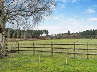 2 Bed in St. Leonards 94272 - 1