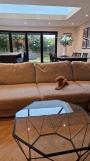 Birkdale Open - modern 3 bedroom family home - 9