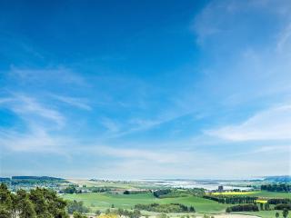 3 Bed in St Andrews 88420 - 8