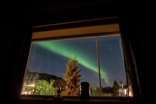 Arctic Wonderland - 2