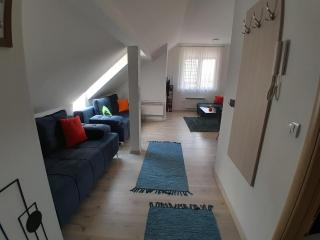 Apartman VIENTO 18 Zlatibor - 2