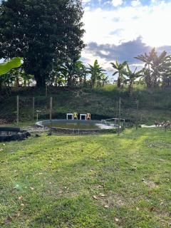 Finca la fabiola - 8