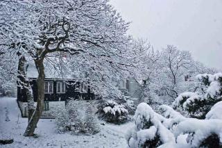 3BR Spacious Apartment in City Center - 2