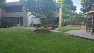 Cozy Comfy and Peaceful Oasis Getaway with Porch - 3