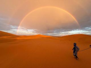 Desert Live Luxury Camp - 2