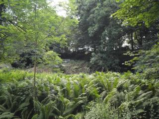 1 Bed in St Andrews 45667 - 6