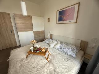 One-bedroom newly renovated apartment with Netflix - Praga - 8