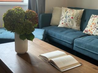 One-bedroom newly renovated apartment with Netflix - 6