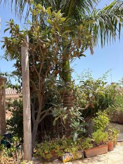 Luxury Villa with Panorama View and Heated Pool - 5