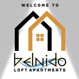 Belnidoloft apartment near airport unit1 - 0