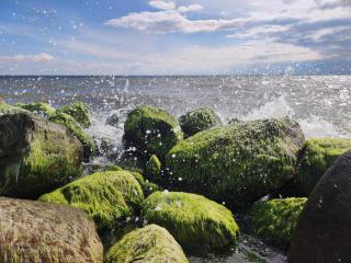 Holiday Home Escape in Scenic Rodby - 4