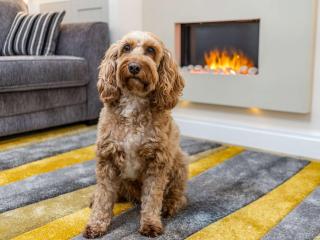 1 Bed in Lytham 86044 - 7