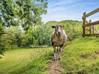 5 Bed in Newchurch IC069 - 9