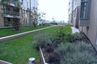 CK Serviced Apartments Belfast - 2