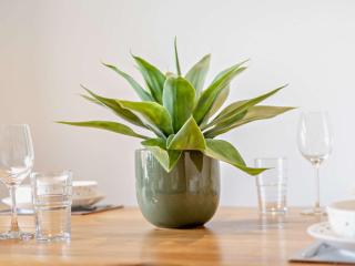 2 Bed in Westward Ho 91694 - 8