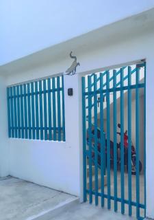 Estudio Coatí Azul en la Isla de Cozumel en el Caribe - 9