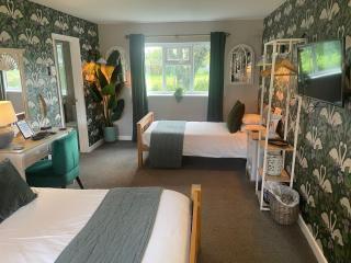 The Swan Motel, Gillingham - 3