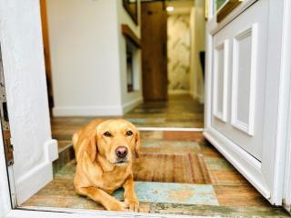 4 Bed in Gosforth 85807 - 9