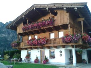 Anna's Appartement - Alpbach - 6