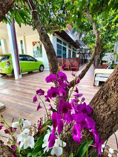 บุญเมืองน่าน - 2