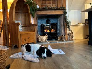 3 Bed in Bude 57739 - 9