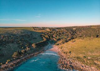 Sea Dragon Kangaroo Island - 6