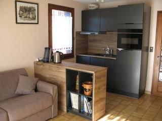 Appartement à Samoëns avec Wifi, idéal pour 3 pers. - FR-1-846-23 - Samoëns - 0