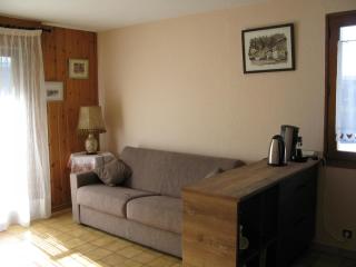 Appartement à Samoëns avec Wifi, idéal pour 3 pers. - FR-1-846-23 - Samoëns - 8