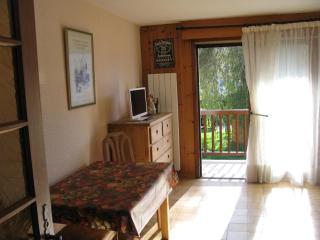 Appartement à Samoëns avec Wifi, idéal pour 3 pers. - FR-1-846-23 - Samoëns - 4