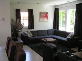 Spacious 10-Person Villa in Quiet Holiday Park - 1