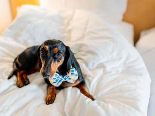 ibis Kochi City Centre - An Accor Brand - 1