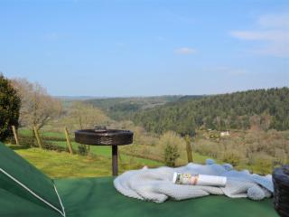 1 Bed in Latchley 54164 - 7