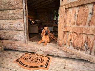 1 Bed in Latchley 54164 - 4