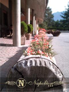 Hotel Napoleon - Montjovet - 5