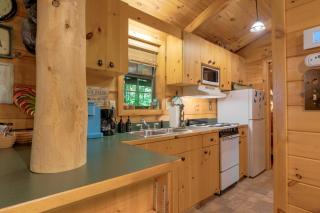 Cozy Bear - Cartertown - 7