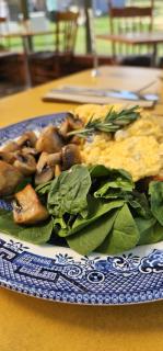 The Travellers Rest - 5