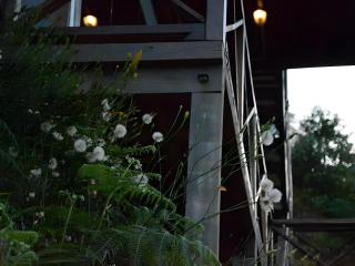 Nikgold Garden Resort Kundasang - 4