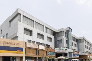 Palette - Silver Leaf - 5