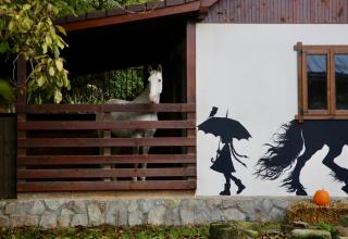 Equestrian Center Farm House - 1