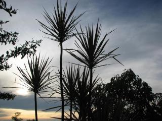 Bantayan Island Nature Park & Resort - 6