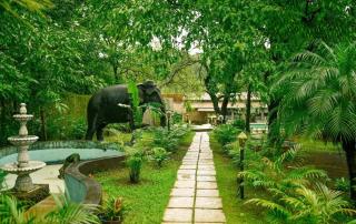 Shangri-La Jungle Village Resort - 1