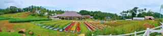 Batis Aramin Resort And Hotel Corp. - 1