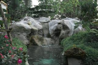 Fairest Domestay - 2
