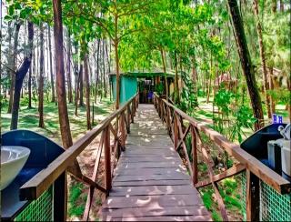 Devbagh beach resort - Junglelodges - 0