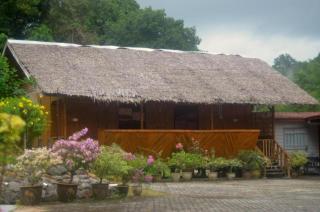 Borneo Tree House - 4
