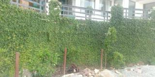 Elgozo Hotel Dreams Paradise - Yercaud - 3