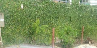 Elgozo Hotel Dreams Paradise - Yercaud - 1