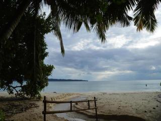 Wild Orchid Resort - Havelock Island - 3
